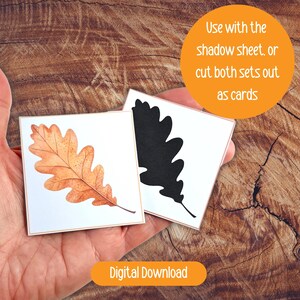 Pode incluir: Dois cart&otilde;es quadrados com desenhos de folhas. Um cart&atilde;o apresenta uma folha laranja detalhada, o outro uma silhueta preta. O texto na imagem diz "Use with the shadow sheet, or cut both sets out as cards" e "Digital Download".