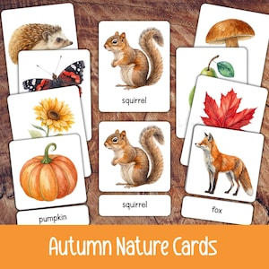 Peut inclure: Un ensemble de cartes éducatives rectangulaires présentant des illustrations à l'aquarelle d'éléments naturels, notamment un hérisson, un papillon, un tournesol, une citrouille, un écureuil, un champignon, une poire, une feuille d'érable et un renard.