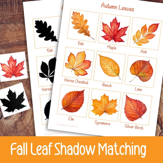 Autumn Leaves Shadow Matching, Printable Fall Leaf Activity for Montessori & Preschool, Shape Matching for Kids