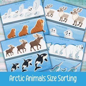 Puede incluir: Tarjetas educativas con ilustraciones de animales árticos de diferentes tamaños. Las tarjetas muestran búhos, renos, morsas, alces, focas, osos polares, orcas y narvales. El texto incluye "I Can Sort Small To Big" y "Arctic Animals Size Sorting" para actividades de clasificación.