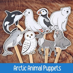 May include: A collection of eight Arctic animal puppets, including a killer whale, seal, puffin, polar bear, narwhal, owl, reindeer, and walrus. Each puppet is attached to a wooden stick. The text "Arctic Animal Puppets" is displayed at the bottom.