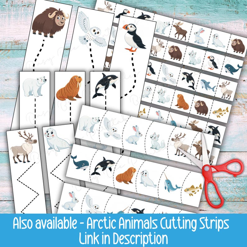 Arctic Animals Count and Clip Cards, Winter Counting Activity for ...