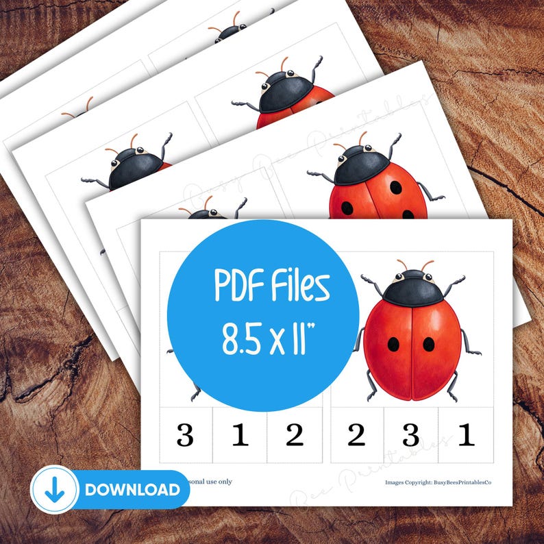 Ladybird Count and Clip Cards, Bugs Counting Activity, Preschool Maths ...