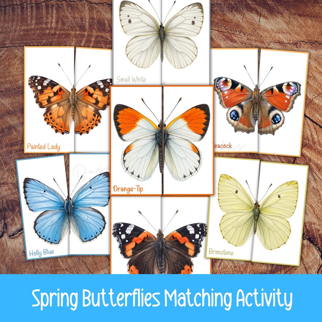 Spring Butterfly Matching Activity, Pattern Matching Game for Preschool ...