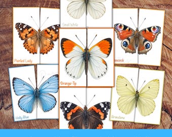 Spring Butterfly Matching Activity, Pattern Matching Game for Preschool & Montessori, Spring Homeschool Learning, 12 Cards