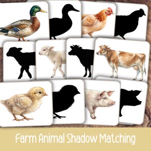 May include: Farm animal shadow matching game featuring illustrations of a duck, chicken, lamb, cow, chick, and pig, along with their corresponding black silhouettes. The game is designed to help children learn about farm animals.