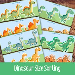 May include: A collection of colorful dinosaur-themed educational cards. Each card features a different dinosaur in varying sizes, with the text "I Can Sort Small to Big." The cards are designed for size sorting activities, with the title "Dinosaur Size Sorting" at the bottom.