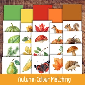 Höstfärgsorteringsspel för barn, höstfärgsmatchningsaktivitet, Montessori-inlärning, förskolematematik