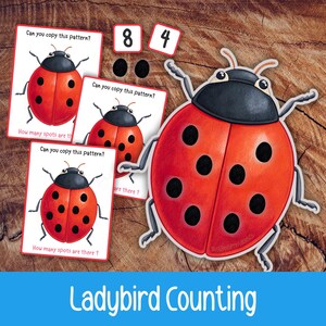 Puede incluir: Un juego de conteo con temática de mariquita con un recorte grande de mariquita, tarjetas y fichas numéricas. Las tarjetas preguntan: "¿Puedes copiar este patrón?" y "¿Cuántos puntos hay?"