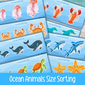 Può includere: Una collezione di carte illustrate con vari animali marini di diverse dimensioni. Le carte includono meduse, aragoste, granchi, delfini, squali, balene, tartarughe e stelle marine. Testo: "I Can Sort Small To Big" e "Ocean Animals Size Sorting".