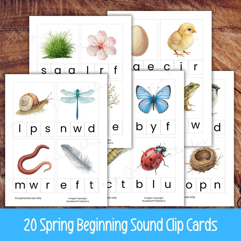 Spring Objecyt Spring Beginning Sounds Printable Activity, Nature Clip Cards ...