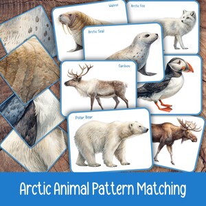 May include: A collection of illustrated cards featuring arctic animals, including a walrus, arctic fox, arctic seal, caribou, polar bear, and puffin. The cards are arranged on a wooden surface, with the text "Arctic Animal Pattern Matching" at the bottom.