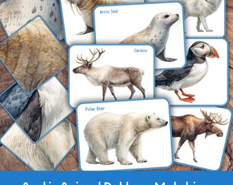 Arctic Animal Pattern Matching Cards for Preschool, Montessori Printable, Winter Matching Activity