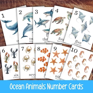 May include: A collection of ten educational number cards with watercolour illustrations of marine life. Each card shows a number from one to ten, alongside the matching number of sea creatures, including dolphins, sharks, and starfish. The text "Ocean Animals Number Cards" is at the bottom.
