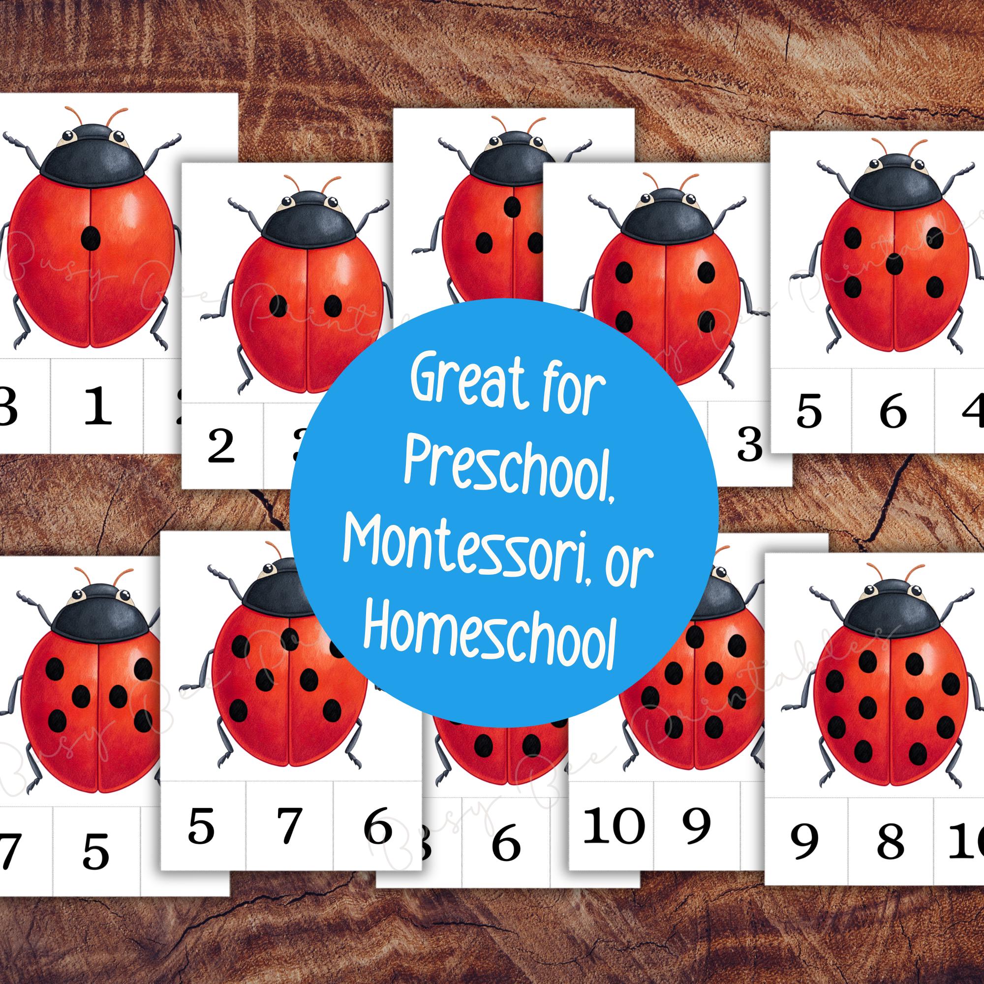 Ladybird Count and Clip Cards, Bugs Counting Activity, Preschool Maths ...