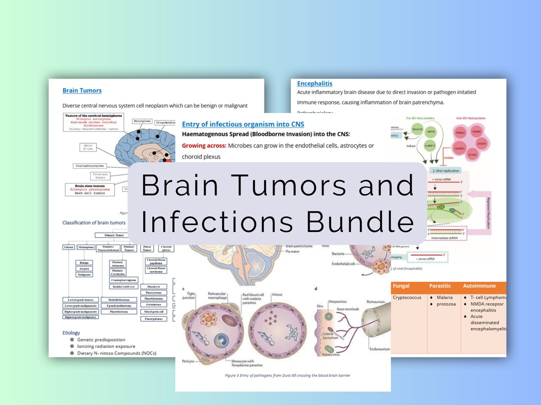 Brain Tumors and Infections Study Notes Bundle PDF - Etsy