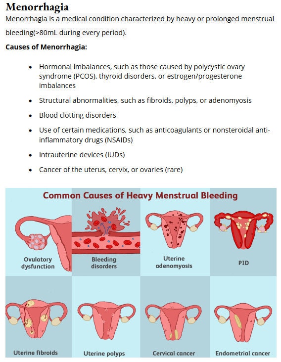 Obgyn Study Notes Bundle | Medical Student Cram Guide (digital Download ...
