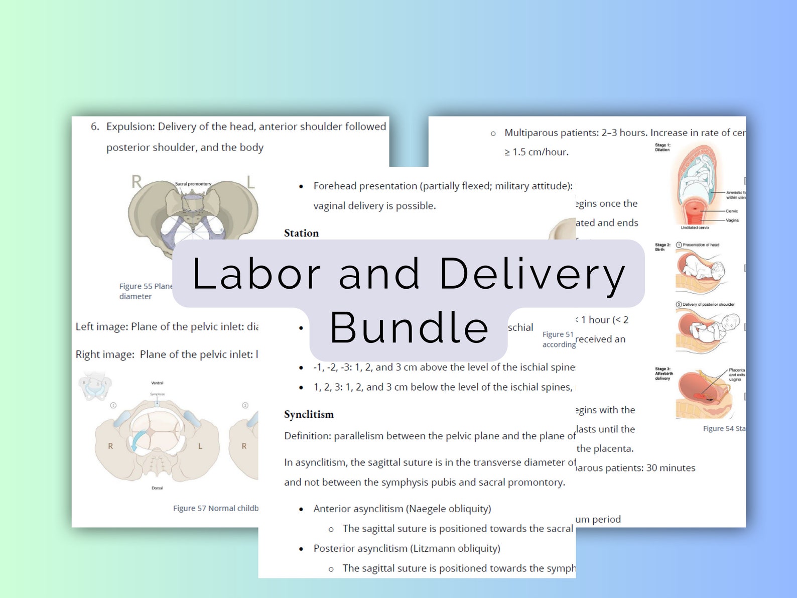 Labor and Delivery Study Guide PDF for Medical Students - Etsy