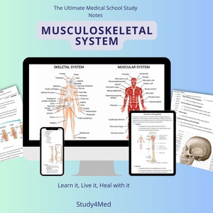 Notatki ze studiów medycznych na temat układu mięśniowo-szkieletowego | Ortopedia | Mięśniowy | Szkieletowy | Prezent dla studenta medycyny | Notatki z nauki | Powtórka