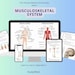 Musculoskeletal System Medical School Study Notes | Orthopedics ...