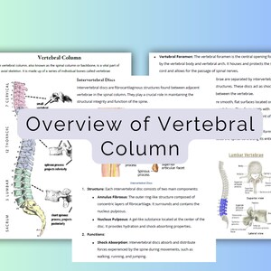 Puede incluir: Diagrama de la columna vertebral humana, también conocida como columna vertebral o espina dorsal. El diagrama muestra las diferentes secciones de la columna vertebral, incluidas las vértebras cervicales, torácicas, lumbares, sacras y coccígeas. El diagrama también muestra los discos intervertebrales, que son estructuras fibrocartilaginosas que se encuentran entre las vértebras adjacentes. El diagrama incluye texto que explica la estructura y función de la columna vertebral.