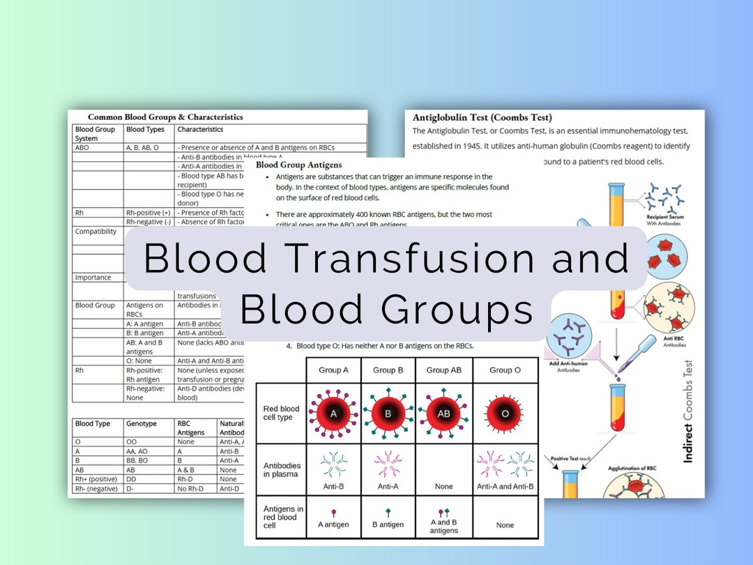 Blood Transfusion and Blood Groups Study Guide PDF - Etsy