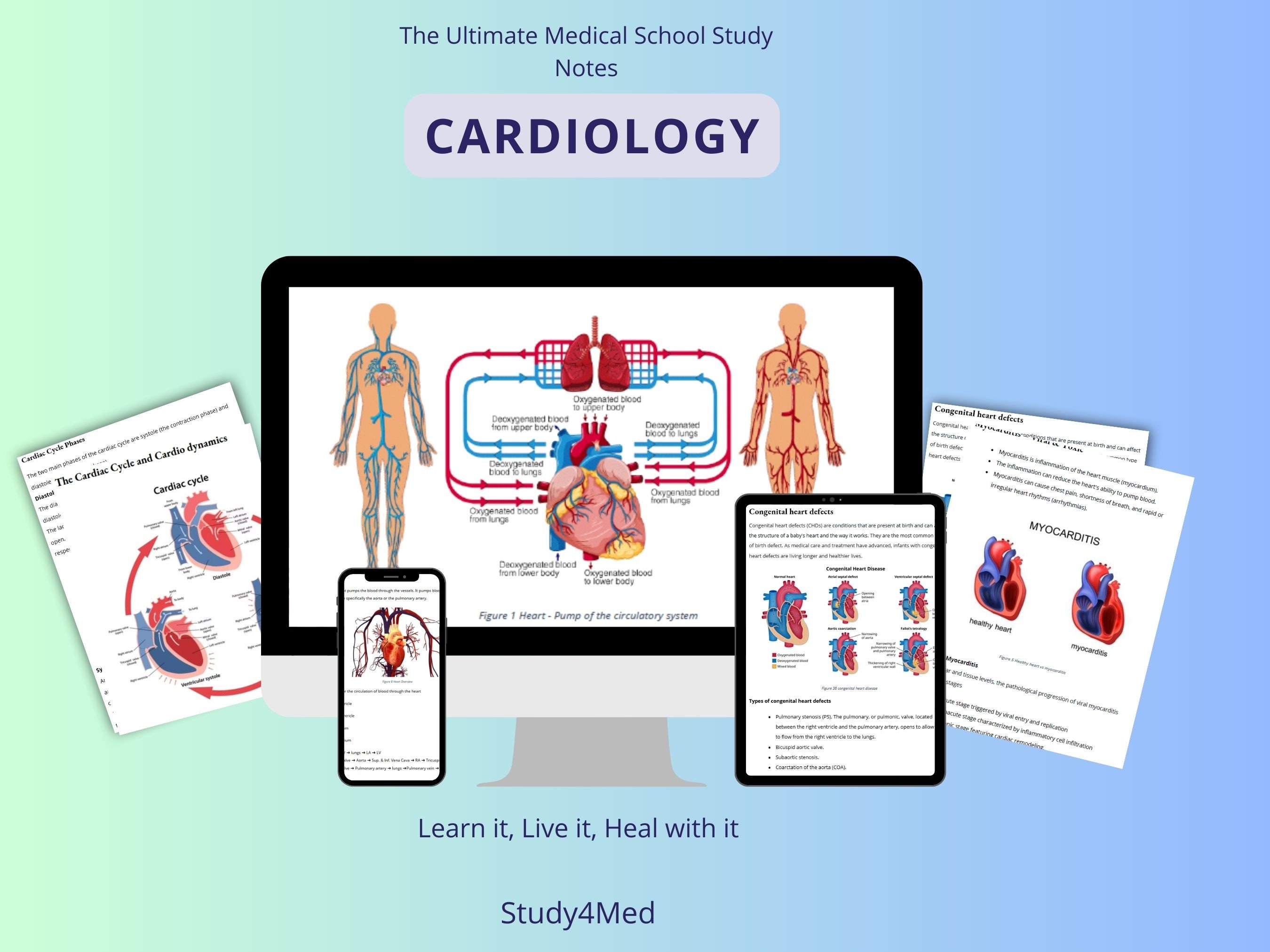 Comprehensive Cardiovascular Notes | Ideal for Revision & Study |Perfect Med Student Gift |Expertly Crafted Study Guide |Cardiology Insights