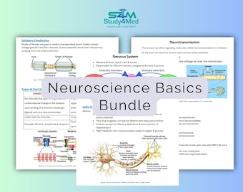 Neuroscience Basics Study Notes Bundle PDF