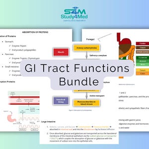 GI Tract Functions |Gastrointestinal System | GI Motility and Function |Medical Student Gift | Medical School Notes | Study Notes