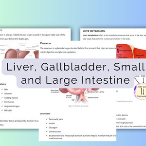 Lever, galblaas, dunne en dikke darm | Maagdarmstelsel | Medische school
