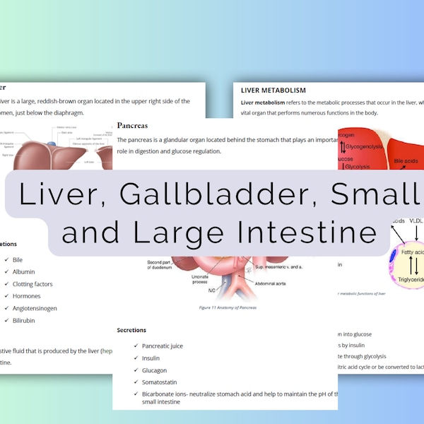 Liver, Gallbladder, Small and Large Intestine | Gastrointestinal System | Medical School