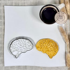Cortador de galletas con forma de cerebro humano / Cerebro de bata blanca / Molde para hornear médico