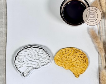 Human Brain cookie cutter | Nature Science Medical theme | Baking tool