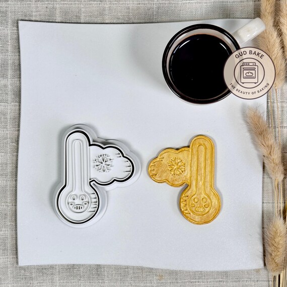 Cold Freezing Thermometer Cookie Cutter | STEM Party | Research Sugar Cookie Tool