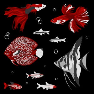 Freshwater Fish Flat Vector | Digital Download | Clipart | Adobe Illustrator - EPS - PNG - SVG