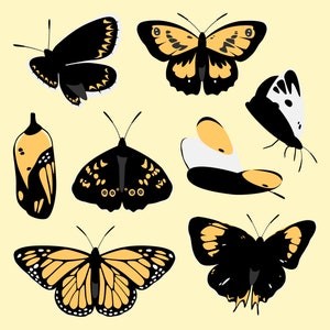 Butterfly Insects Flat Vector | Digital Download | Clipart | AI - EPS - PNG