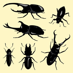 Beetle Insects Flat Vector | Digital Download | Clipart | AI - EPS - PNG