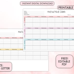 Food and Fluids Intake Tracker, Weekly Daily Food, Weekly Fluids Tracker, Food Intake Tracker