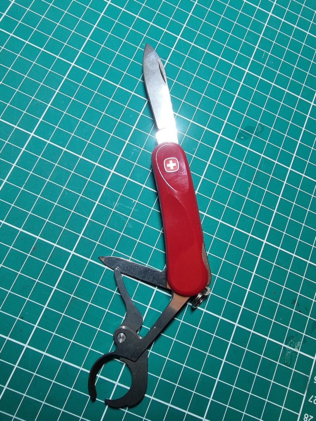 Wenger Cigar Cutter Etsy