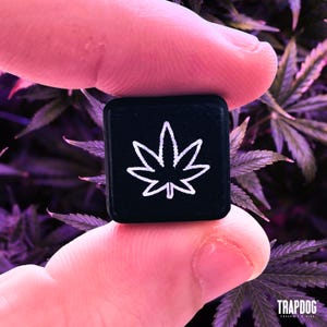 Pode incluir: Um pequeno objeto quadrado preto com um contorno branco de uma folha de cannabis. O objeto é segurado entre dois dedos contra um fundo de folhas roxas. O texto "TRAPDOG" é visível no canto inferior direito.