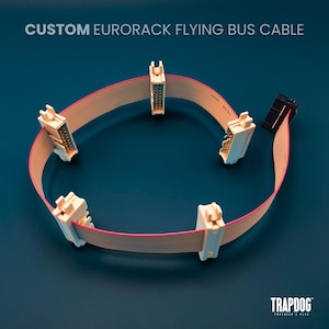 Op de afbeelding: Een op maat gemaakte Eurorack flying bus kabel met meerdere connectoren in een cirkelvormige opstelling. De kabel is beige met een roze streep, en de connectoren zijn wit en beige. De tekst "CUSTOM EURORACK FLYING BUS CABLE" staat bovenaan.