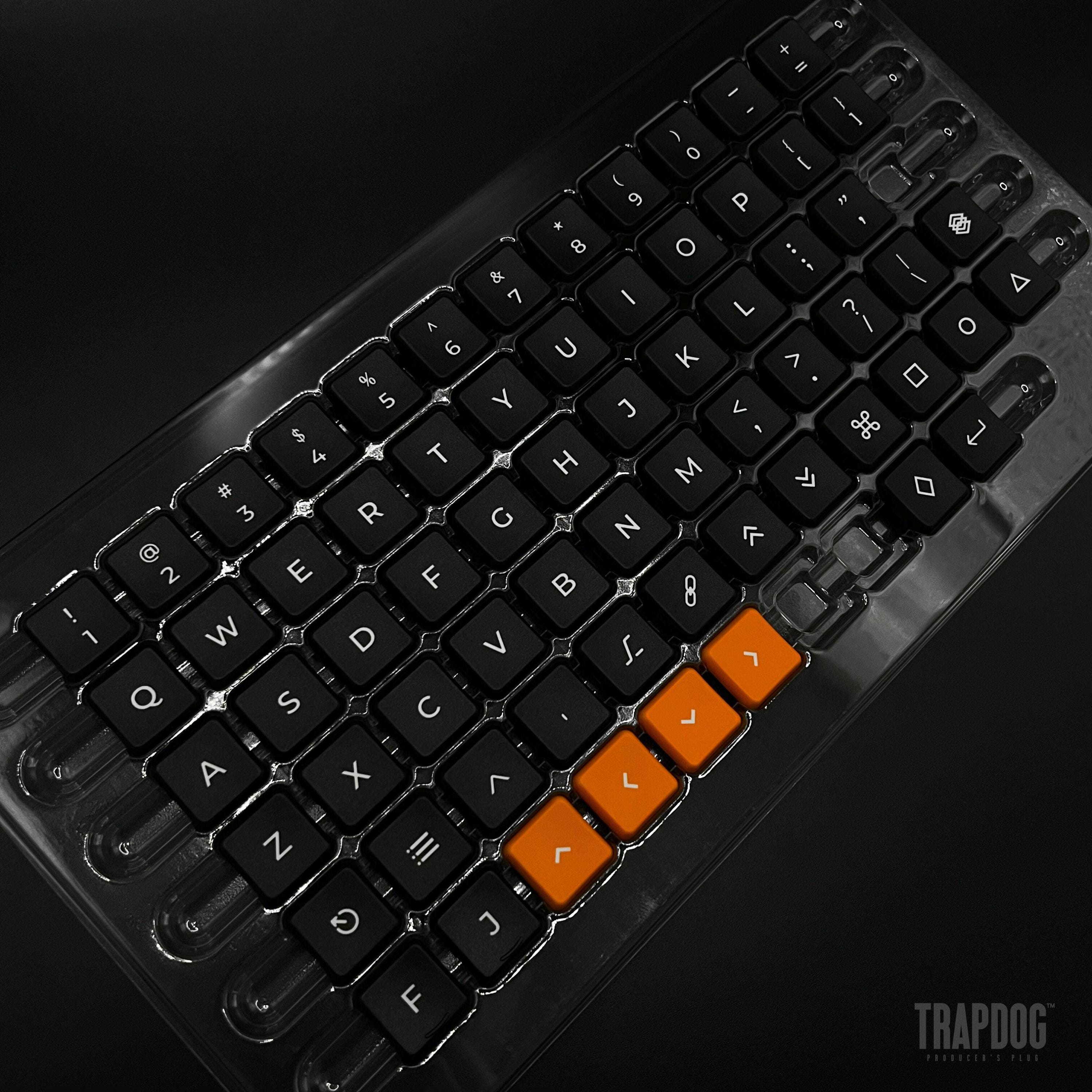 カスタムスキンフェイスプレート Corne Choc v4.1 ロープロファイル