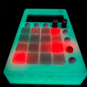 TRAPDO® Glow-In-The-Dark Pocket Organizer Case / 3D Gedruckt / Größte Pads Im Spiel 1 cm x 1 cm / Geschenk Für TE Hersteller