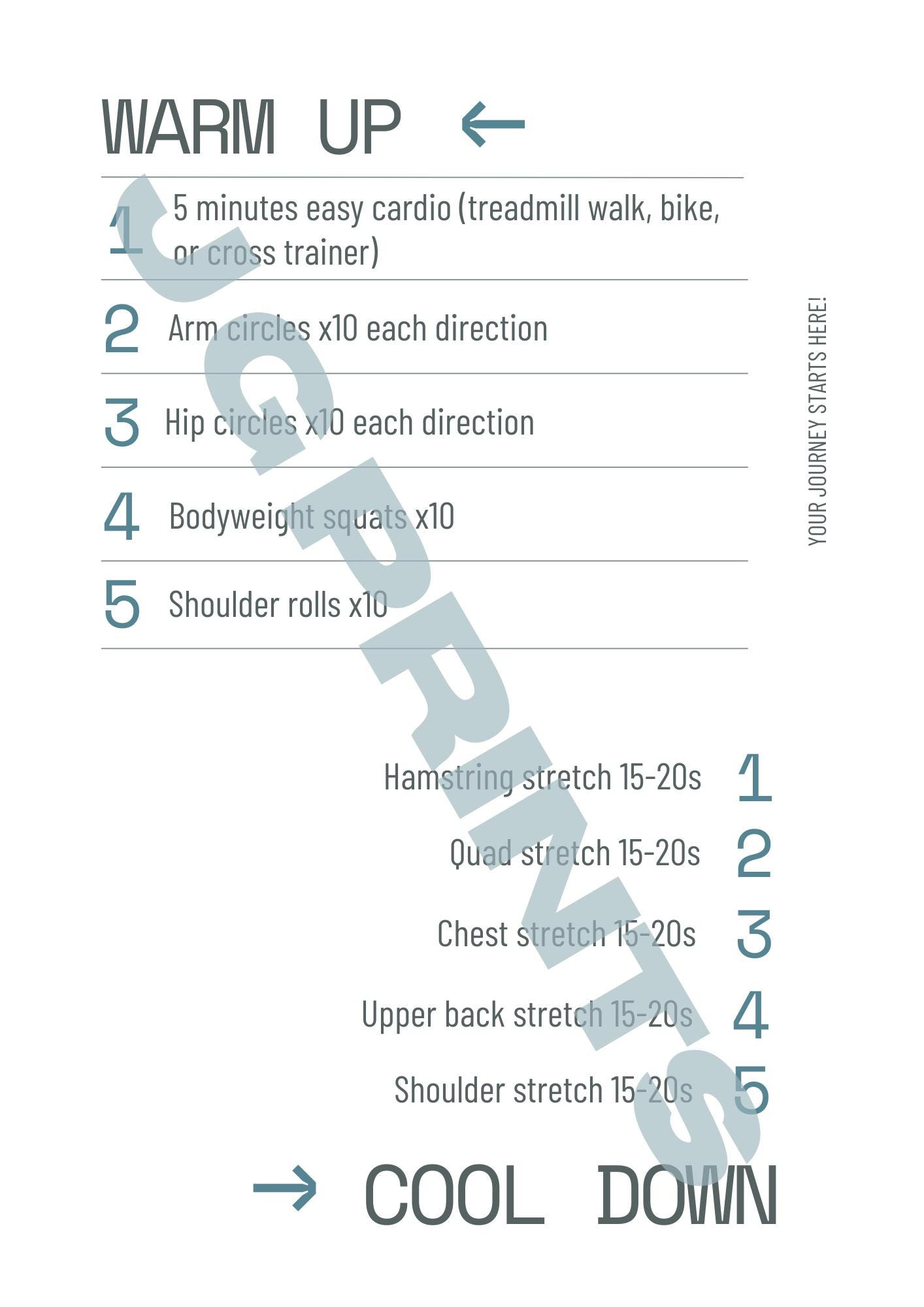 Gym Workout Plan for Complete Beginners | Beginner-friendly 8 Week ...