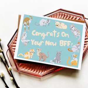 Félicitations pour votre nouvelle meilleure amie ! | Célébrez un nouvel ami à quatre pattes | Nouveau chaton | Nouveau chat | Carte de voeux A7 (5 x 7 pouces)