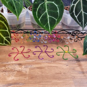 Mix and Match Set - Includes 4- Choose your sizes! Stems, Plant Gifts, Trellis, Plant Support