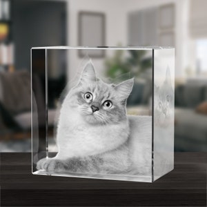 Custom 3D Crystal Photo: Personalized Engraved Picture-Dog picture frame-Pet portrait-Dog memorial gifts