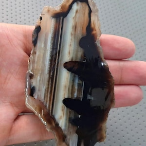 Peut inclure: Une pierre d'agate polie de forme naturelle et irrégulière. La pierre présente des bandes marron, noires et blanches, créant un motif saisissant. L'agate est tenue dans une main, mettant en valeur sa taille et sa texture. C'est une pierre précieuse naturelle.