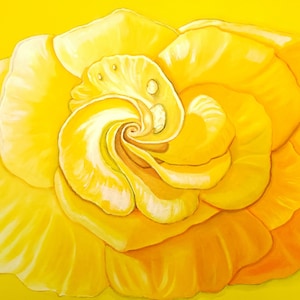 Yellow Rose Glossy Inkjet Fine Art Print by Wendy Jones
