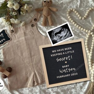 Digital Pregnancy Announcement for Social Media, Gender Neutral Baby Announcement, Editable Pregnancy Reveal , Little Secret Template